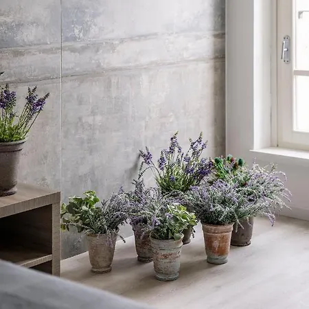 Daire Corte Francigena Montalcino