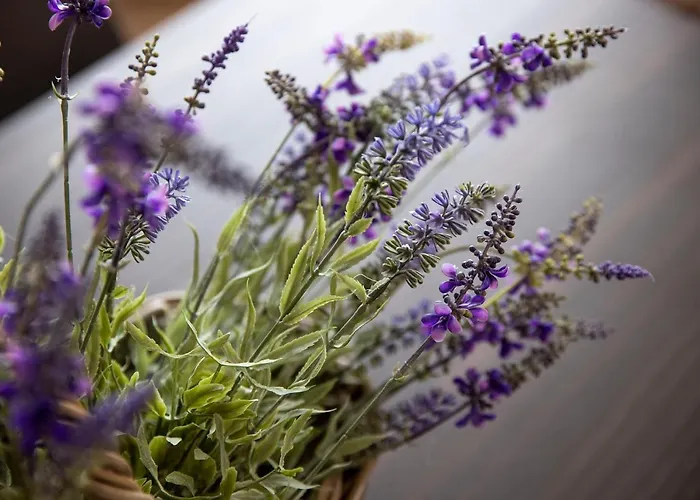 Corte Francigena * Montalcino