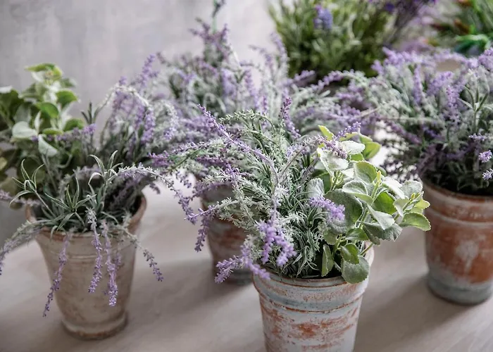 Appartamento Corte Francigena Montalcino