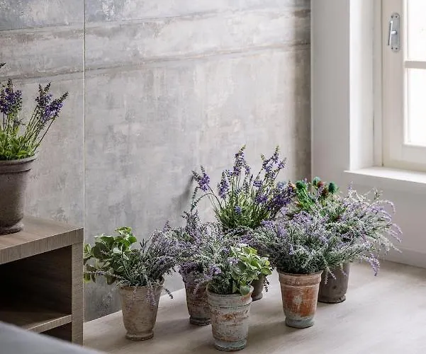 Appartamento Corte Francigena Montalcino