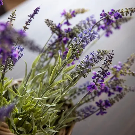 Corte Francigena * Montalcino